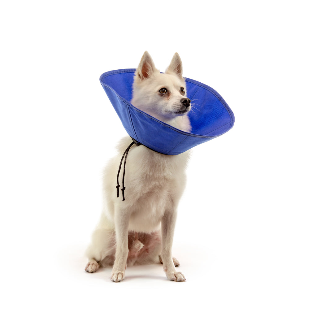 KVP EZ SOFT™ Collar – Gralen Company