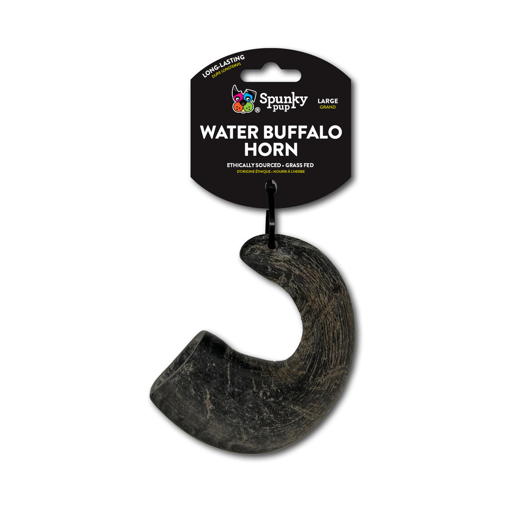 6502WaterBuffaloHorn-