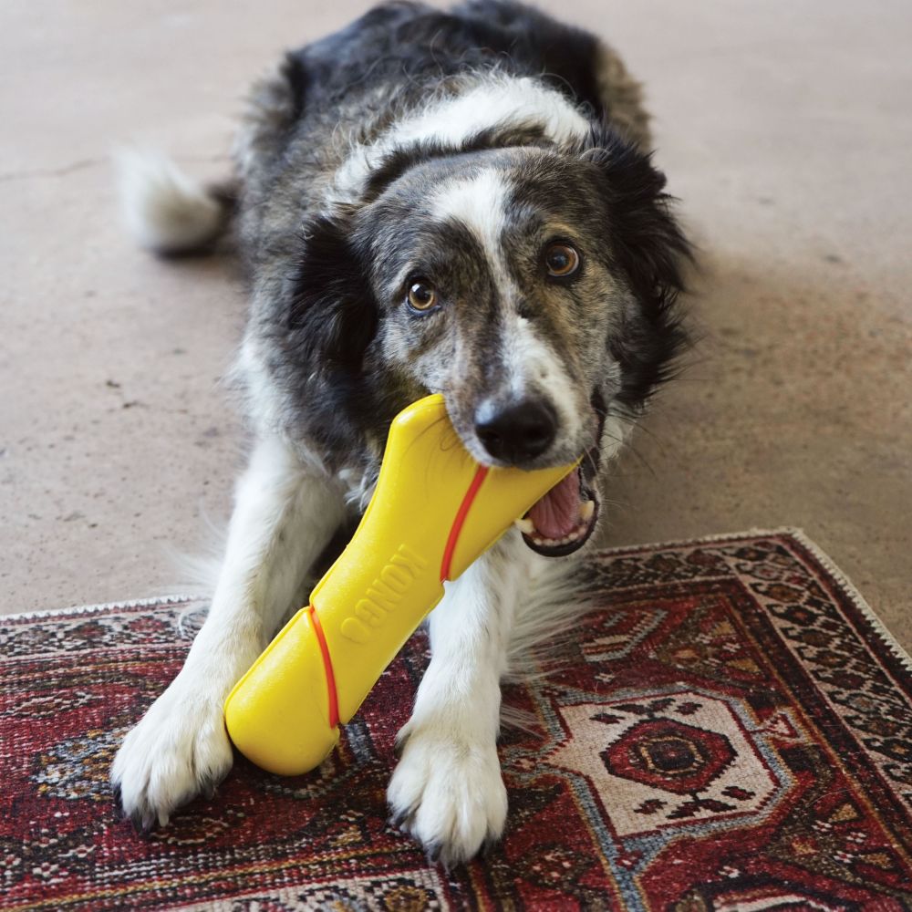 West Paw Zogoflex Hurley Durable Dog Bone Chew Toy for Aggressive