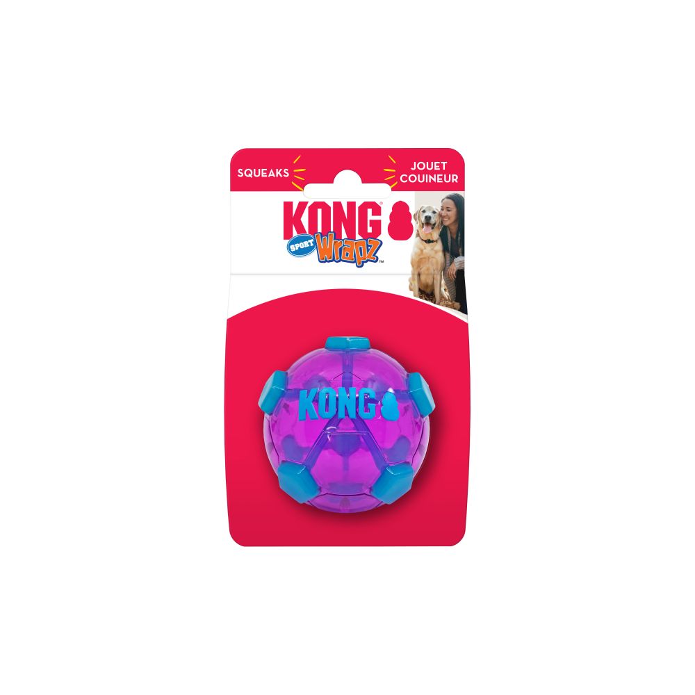 KONG Rewards Ball Dog Toy 