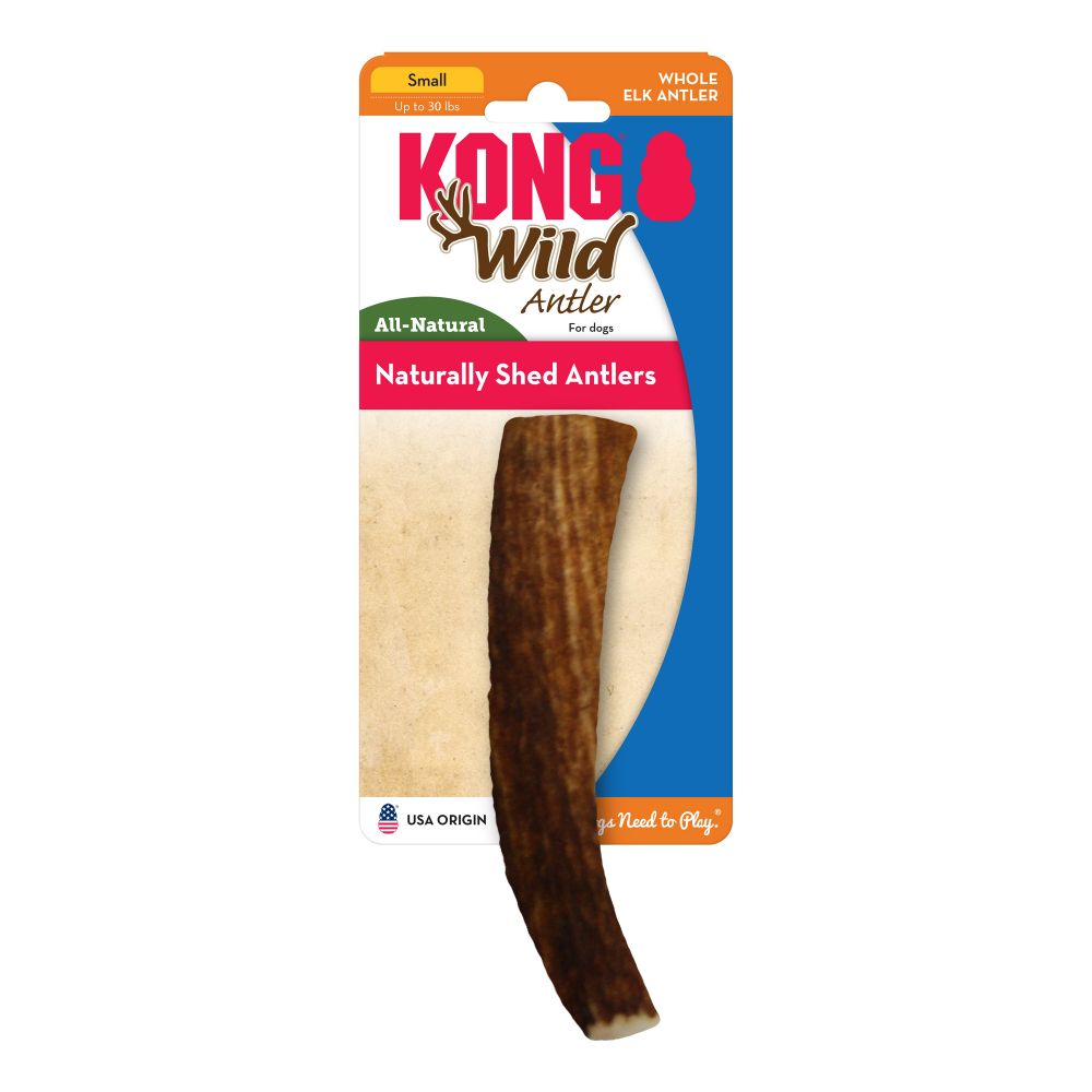 KONG Wild Antler Whole Gralen Company