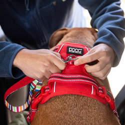 Collars, Harnesses, &amp; Leashes