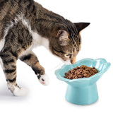 Nice Paws Blossom Cat Bowl - 160 mL