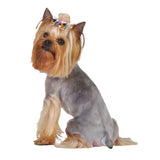 Max's Closet Hair Bows - Birthday (2 per card)