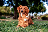 Multipet -  Highland Cow Floppy - 10"