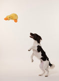 Multipet -  Duckworth Assortment