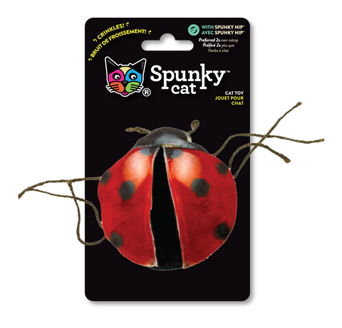 Spunky Pup Spunky Cat Bugs