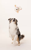 Multipet -  Lambchop Knobby Noggin - 5"