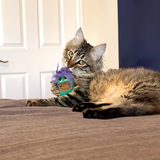 KONG Scrattles Highland Cow PDQ - 12 pc