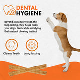 Canine Naturals Beef Chew - 5" Stick