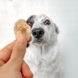 Healthybud Banana Chips -  5.3 oz