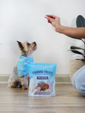 Healthybud Beef Mini Training Treats - 6.5 oz