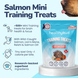 Healthybud Salmon Mini Training Treats - 6.5 oz