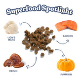 Healthybud Salmon Mini Training Treats - 6.5 oz