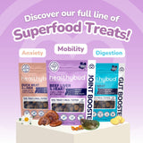 Healthybud Joint Booster (Beef)