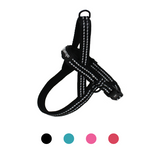 Alcott Norwegian Harness