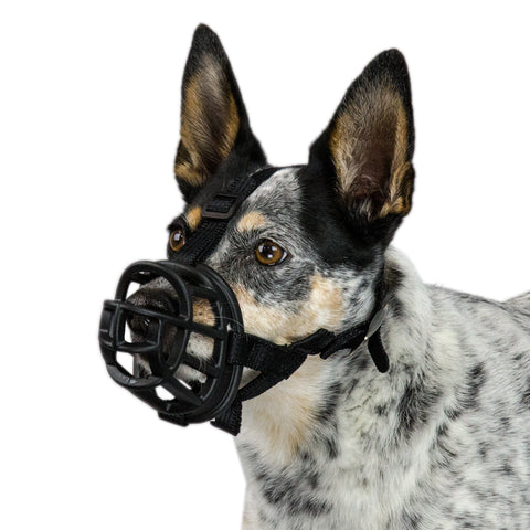 KVP Baskerville Ultra Muzzle