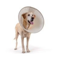 KVP BetterCollars