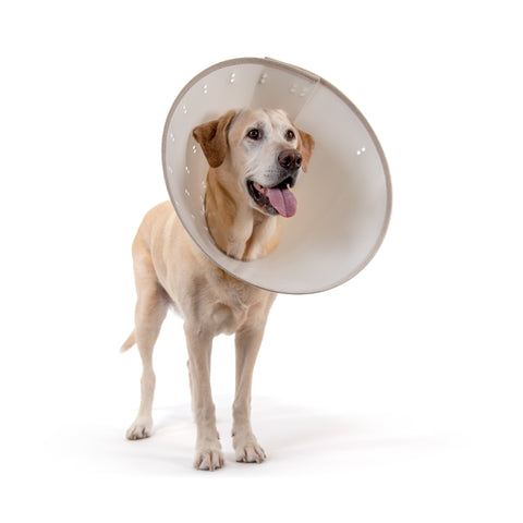 KVP BetterCollars