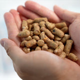 Healthybud Freeze-Dried Beef Meal Bites - 14 oz