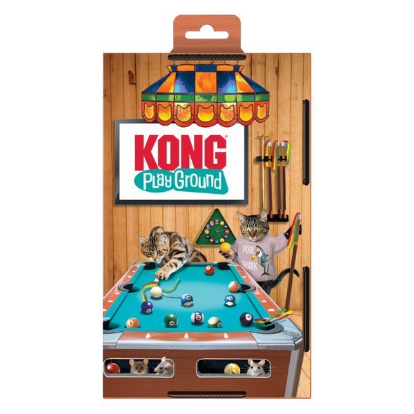 KONG Playground Pool Table