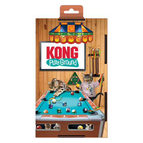 KONG Playground Pool Table