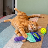KONG Cat Sport® PicklePaw