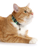 DOOG CAAT Nylon Cat Collar - Cat