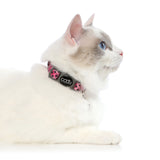 DOOG CAAT Nylon Cat Collar - Cat