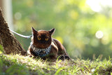 DOOG CAAT Harness & Leash Kit - ONE SIZE