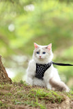 DOOG CAAT Harness & Leash Kit - ONE SIZE