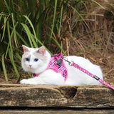 DOOG CAAT Harness & Leash Kit - ONE SIZE