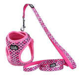 DOOG CAAT Harness & Leash Kit - ONE SIZE