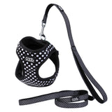 DOOG CAAT Harness & Leash Kit - ONE SIZE
