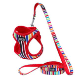 DOOG CAAT Harness & Leash Kit - ONE SIZE