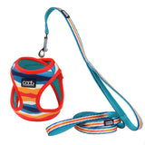 DOOG CAAT Harness & Leash Kit - ONE SIZE