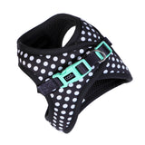 DOOG CAAT Harness & Leash Kit - ONE SIZE