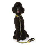 DOOG Neoprene Dog Leash (Neon)