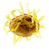 KONG Crackles Noodles