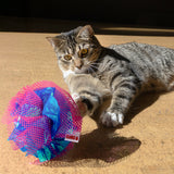 KONG Crackles Fluff Balls 2-pk Assorted