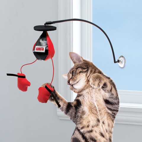 KONG Connects Punching Bag Interactive Bat A Bout Catnip Cat Toy