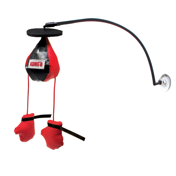 KONG Connects Window Boxing