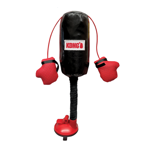 KONG Connects Punching Bag – Gralen Company
