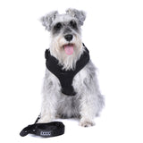 DOOG Neosport Soft Harness (Solids)