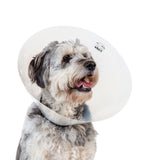 KVP CHECK™ E-Collar