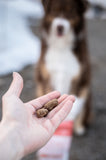 Charmy Pet - 'When East Meets West' Beef & Duck Food Bag