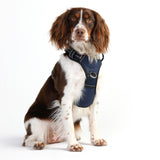 DOOG Neotech Harness (Solids)