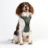 DOOG Neotech Harness (Solids)