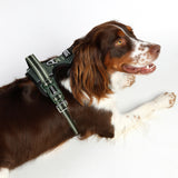 DOOG Neotech Harness (Solids)