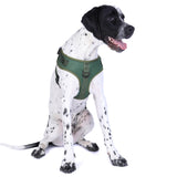 DOOG Neosport Soft Harness (Solids)